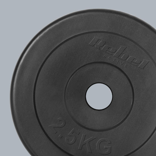 Σετ Δίσκοι 4 x 2.5kg Φ31mm