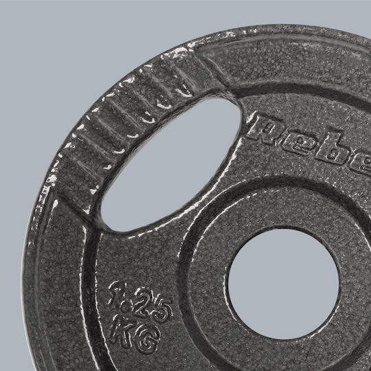 Σετ Δίσκοι Μεταλλικοί 4 x 1.25kg Φ31mm με Λαβές