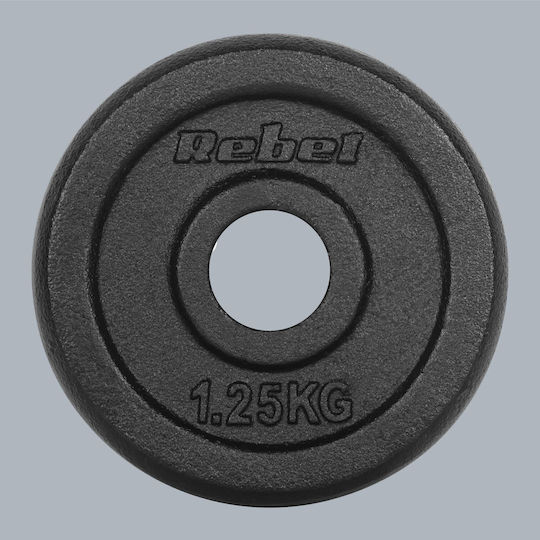Σετ Δίσκοι Μεταλλικοί 4 x 1.25kg Φ31mm