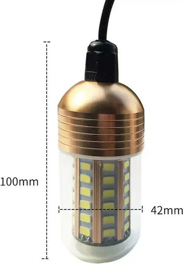 Led Professional Underwater Fishing Lamp 12/24v Blue 60 Super Led 18000lm Ipx8 – Super Fish Lamp Tc-554