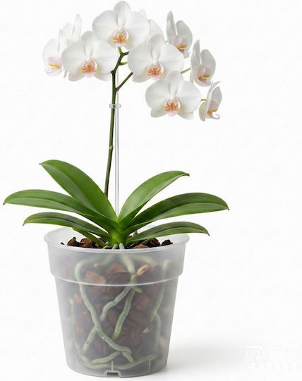 Prosperplast Kunststoff Blumentopf Transparent 16x14,5cm