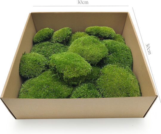 Moss Cushion Dark Green Natural 0.1m² 40x25cm Sweden
