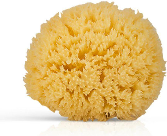 Natural Body Sponge