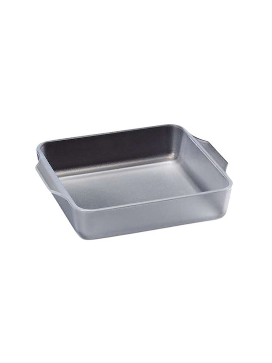 Aderia Vas Pătrat Rezistent La Căldură Din Sticlă 24x20x5cm