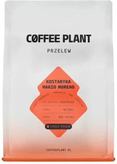 Coffee Plant Filterkaffee Costa Rica in Körner 250g