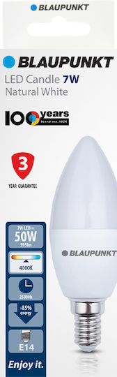 Blaupunkt Λάμπα LED 6.8W για Ντουί E14 Φυσικό Λευκό 680lm