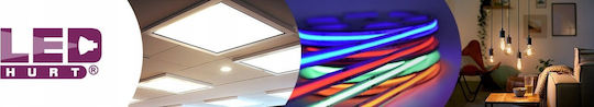 LED line Λάμπα LED 10W για Ντουί E27 και Σχήμα A60 Θερμό Λευκό