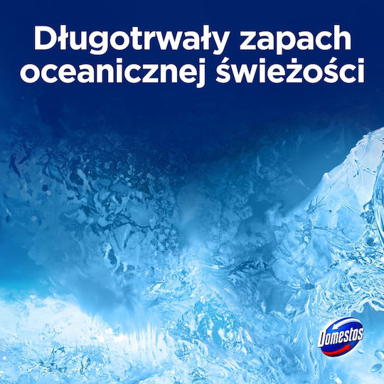 Domestos Domestos Block für Toilette 50g