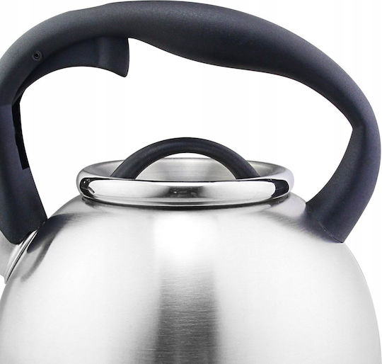 Zilan Βραστήρας Ανοξείδωτος Ασημί 3000ml