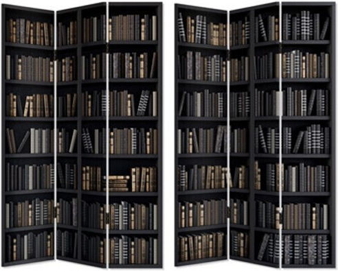 Διακοσμητικό Παραβάν από Καμβά 2 Όψεων 120x180cm