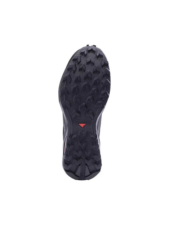 Salomon