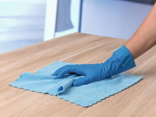 Vileda Cleaning Cloths with Microfibers General Use Blue 30x30cm