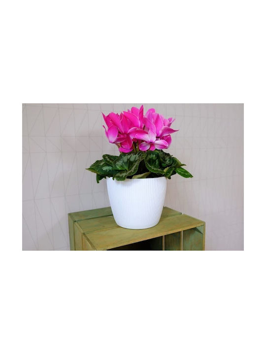 Lamela Topf Kunststoff 30cm.