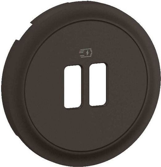 Celiane Plate Socket 2 USB Black