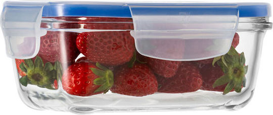 Borgonovo Mittagsbox 800ml