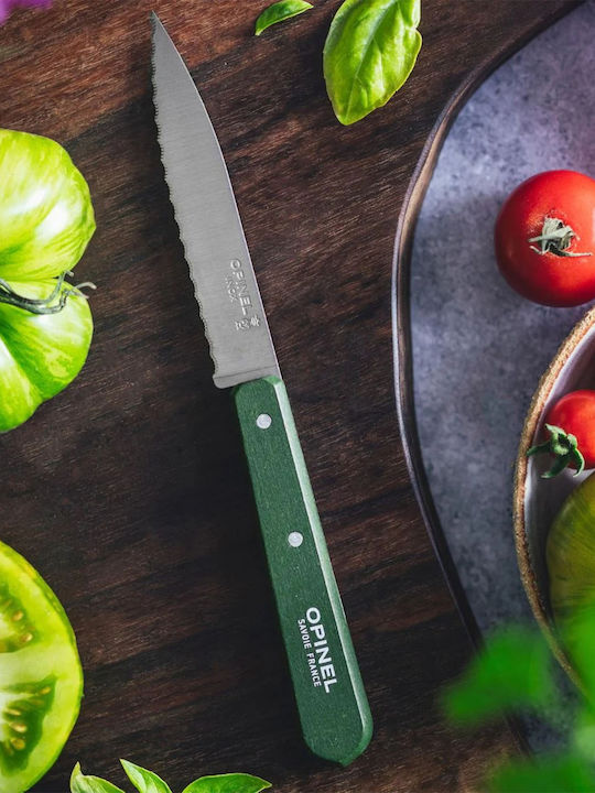 Opinel Les Essentiels Cuțit De Utilizare Generală Din Oțel Inoxidabil 10cm