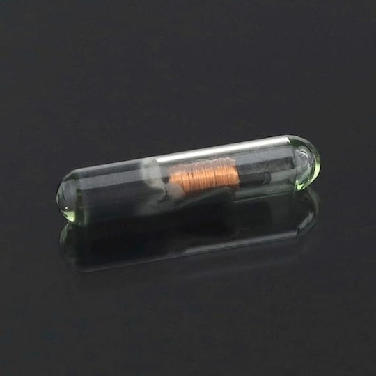 Chip Transponder Auto Aftermarket Blank Id48 Can Tip Sticlă A2 Tp25 Compatibil Audi Criptat
