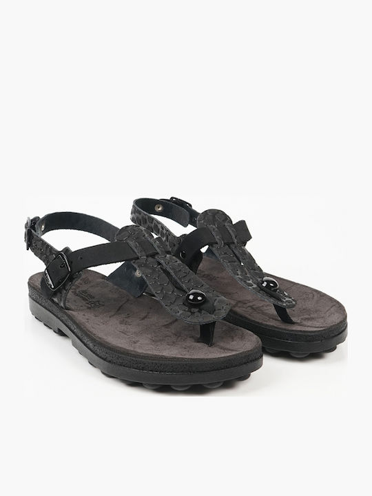 Fantasy Sandals Fantasy Sandals