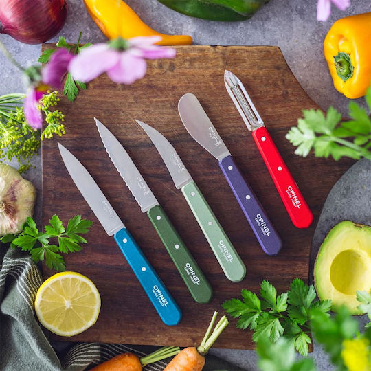 Opinel Fruit and Vegetable Peeler and Cleaner Made of Stainless Steel