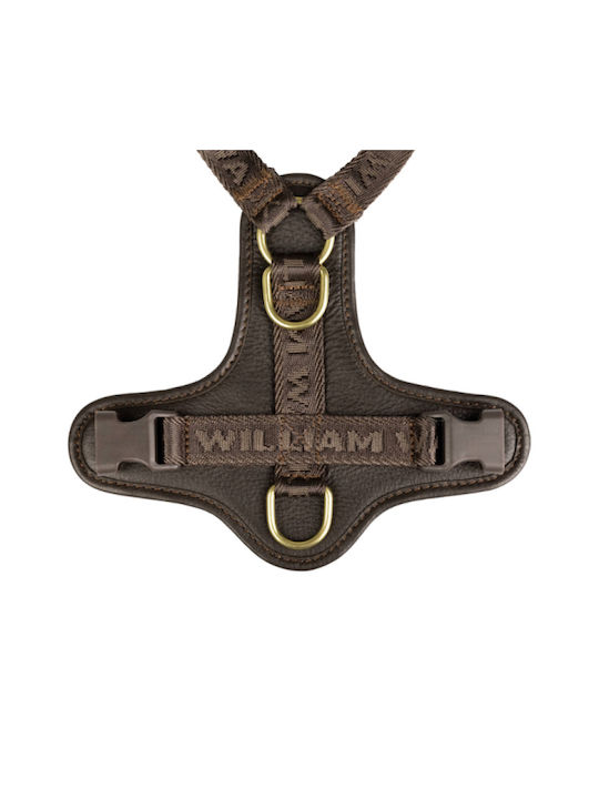 William Walker Кожено Кучешко Повод Plain Premium Кафяв Y-харнес Меко Кожа M 54-76cm William Walker Кожено Кучешко Повод Plain Premium Кафяв Y-харнес Меко Кожа M 54-76cm