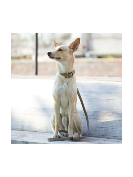 William Walker Adjustable Leather Dog Leash Sand Beige Plain Collection Xxs-Xs 1.5cm