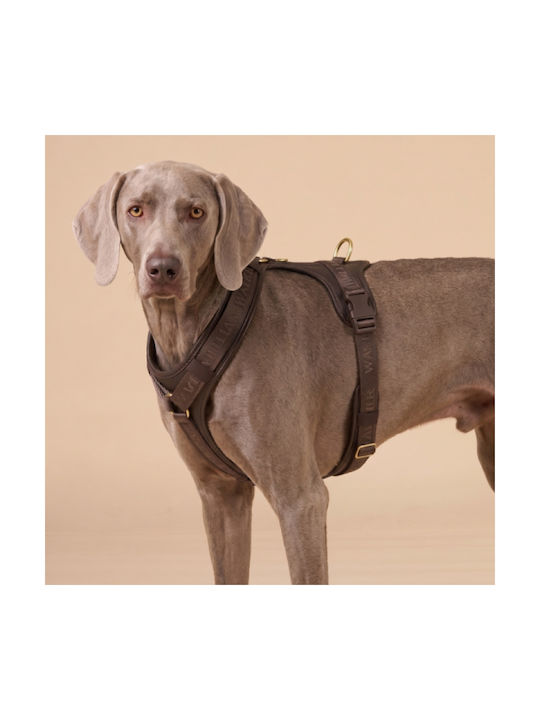 William Walker Leather Dog Harness Plain Premium Brown Y-Harness Soft Leather Medium 54-76cm