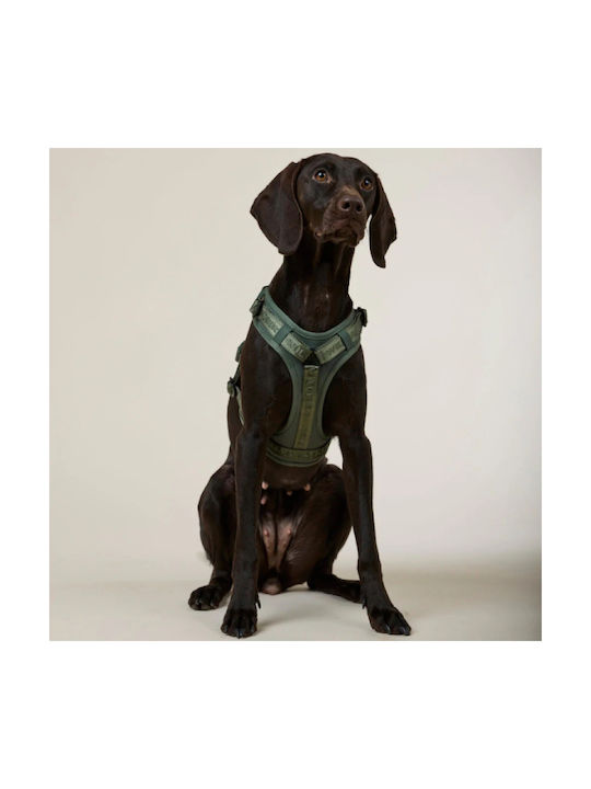 William Walker Hundegeschirre Apex Y Grün Leichtes Mesh & Neopren M 54-76cm