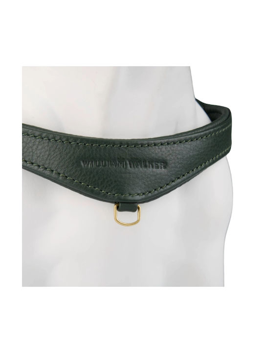 William Walker Pico Ham Piele Step-in Verde Pentru Câini Mici Și Căței M 39-52cm