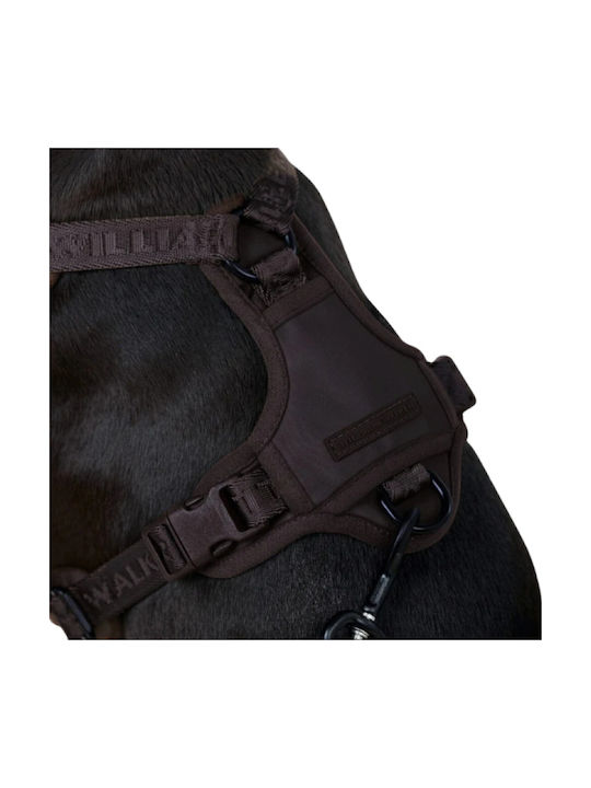 William Walker Dog Harness Apex Y Brown Light Mesh & Neoprene Small 46-63cm