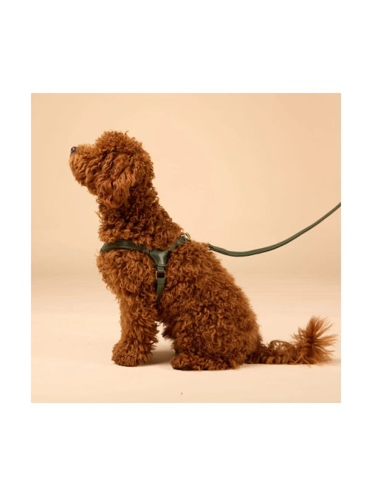 William Walker Pico Ham Piele Step-in Verde Pentru Câini Mici Și Căței M 39-52cm