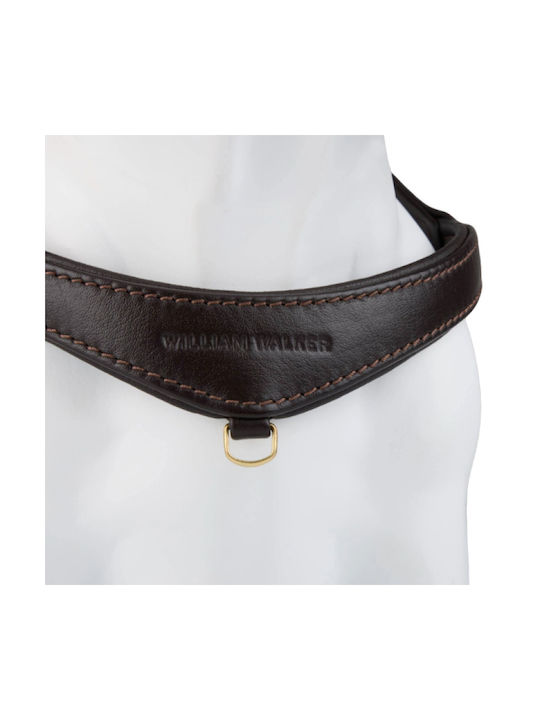 William Walker Pico Leder Step-in Hundegeschirre Braun Kleine Hunde & Welpen M 39-52cm