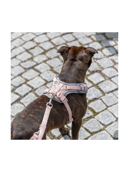 Trixie Кучешки Аксесоар За Малки Кучета Premium Розов Xs–s 40– 57 Cm 15 Mm Trixie Кучешки Аксесоар За Малки Кучета Premium Розов Xs–s 40– 57 Cm 15 Mm
