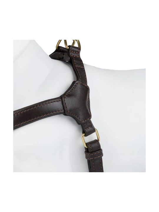 William Walker Pico Leder Step-in Hundegeschirre Braun Kleine Hunde & Welpen M 39-52cm