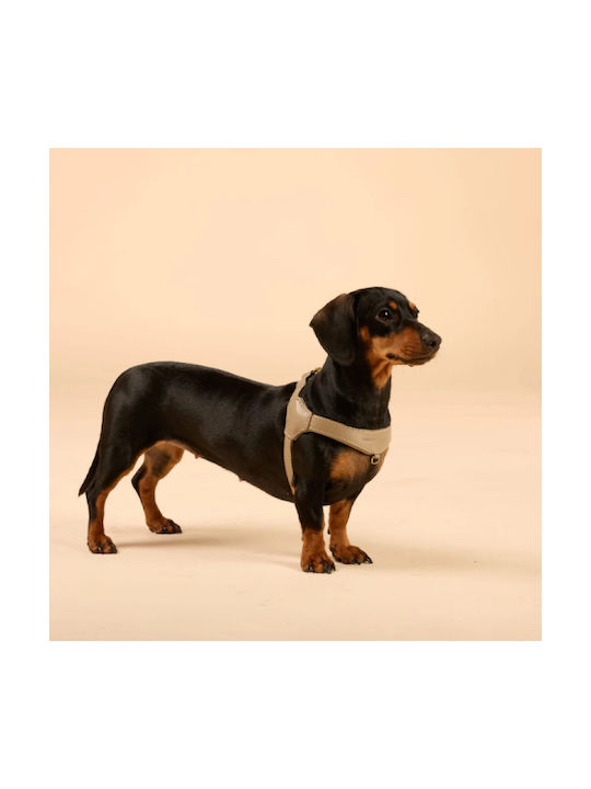 William Walker Pico Leather Step-in Dog Harness Beige for Small Dogs & Puppies M 39-52cm