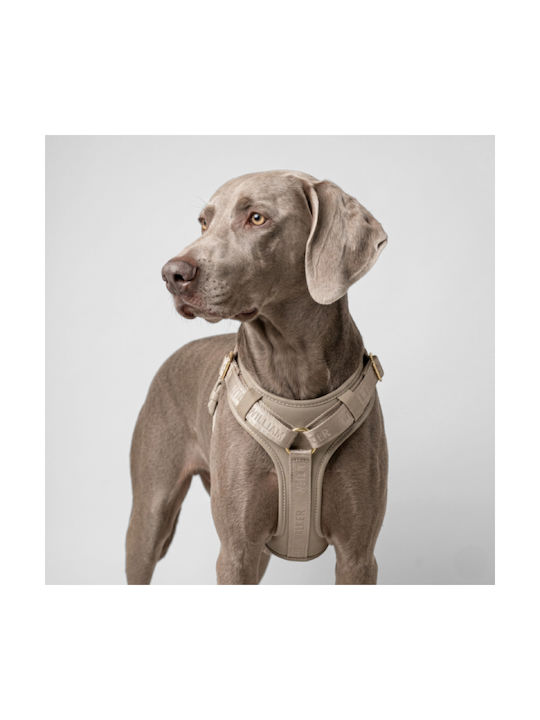 William Walker Leather Dog Harness Plain Premium Beige Y-Harness Soft Leather Medium 54-76cm