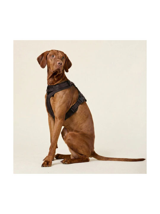 William Walker Hundegeschirre Apex Y Braun Leicht Mesh & Neopren L 61-85cm