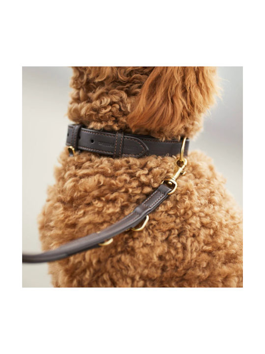 William Walker Adjustable Leather Dog Leash Earth Brown Plain Collection Xxs-xs 1.5cm