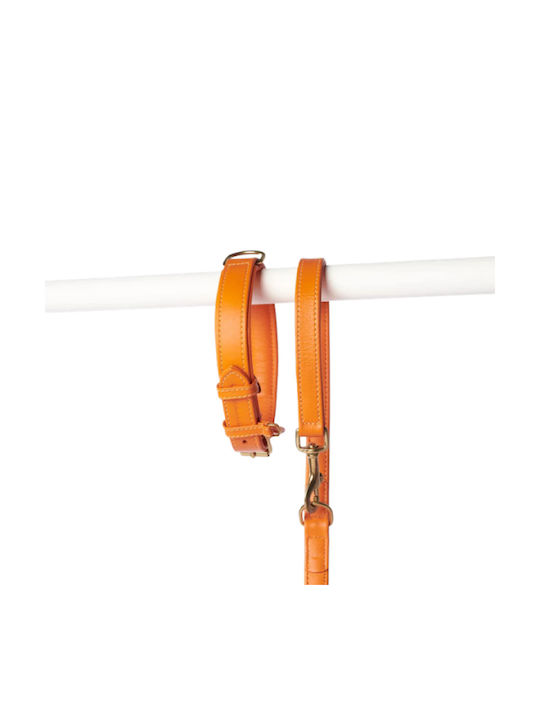 William Walker Leather Dog Collar Orange Plain Collection XxSmall 22cm