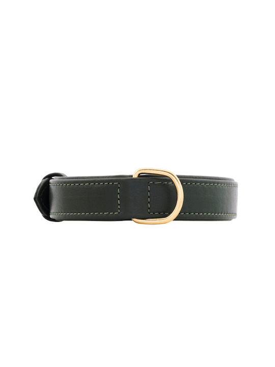 William Walker Кожен Ошийник За Куче Зелен Plain Collection M 38см William Walker Кожен Ошийник За Куче Зелен Plain Collection M 38см