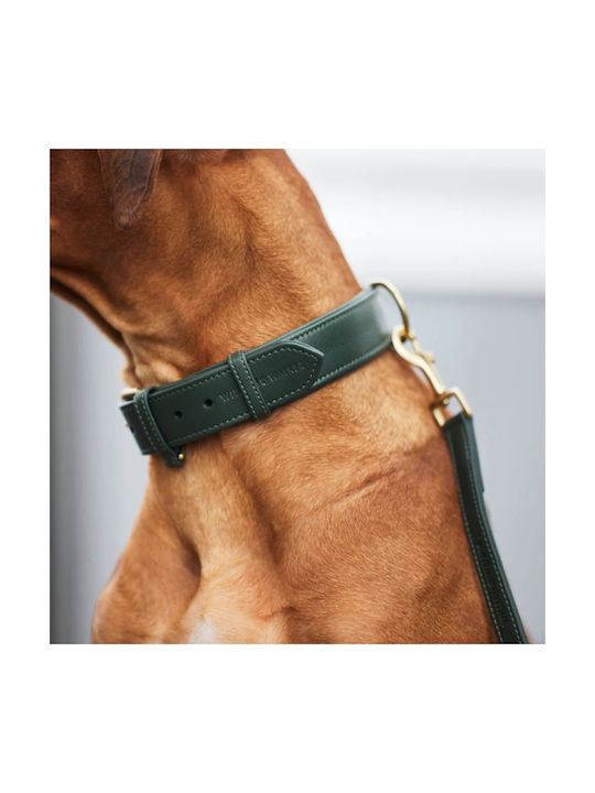 William Walker Кожен Ошийник За Куче Зелен Plain Collection M 38см