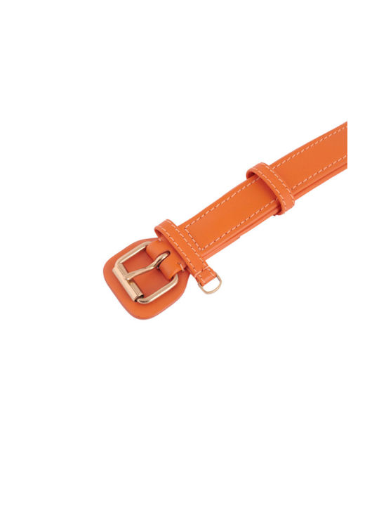 William Walker Leather Dog Collar Orange Plain Collection XXLarge 56cm