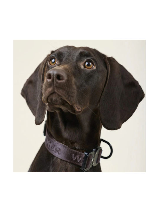 William Walker Hundehalsband Jacquard Nylon Erdbraun Leicht & Vegan XXSmall XSmall 22-32cm
