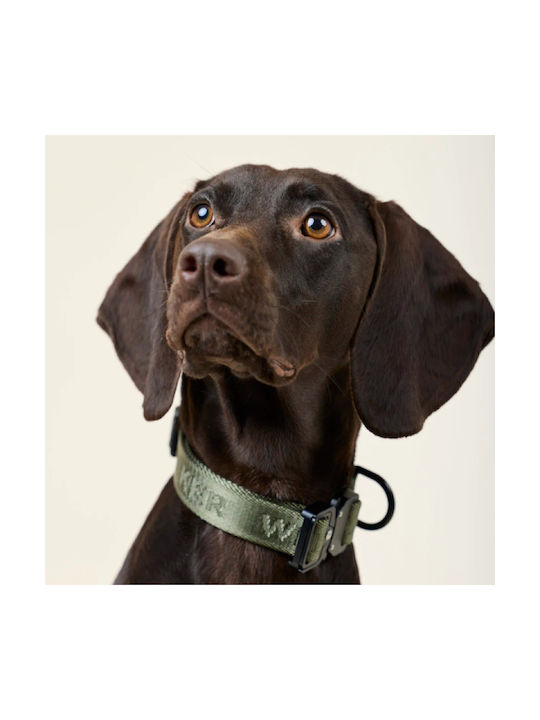 William Walker Dog Collar Jacquard Nylon Forest Green Light & Vegan XxSmall XSmall 22-32cm