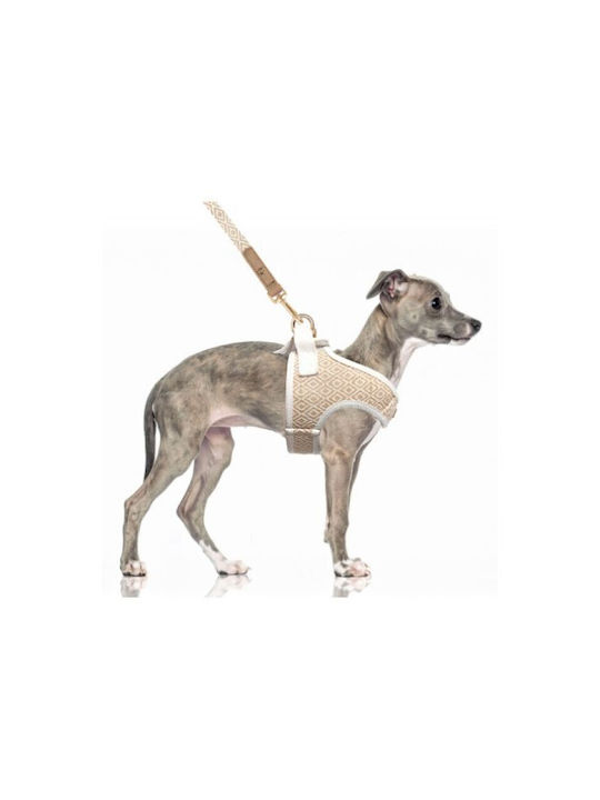 Milk & Pepper Beiges Hundegeschirr Kofi Crop 32