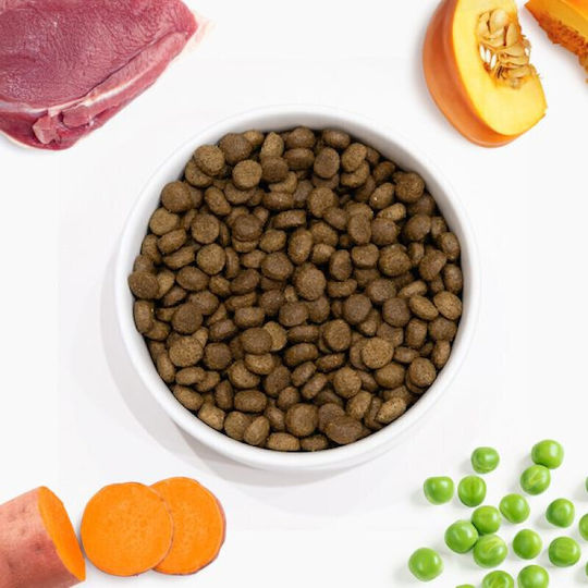 Arden Grange 2kg Grain-Free Dry Dog Food for Adult Dogs with Duck