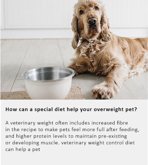 Arden Grange 2kg Dry Dog Food Light Grain-Free for Puppies