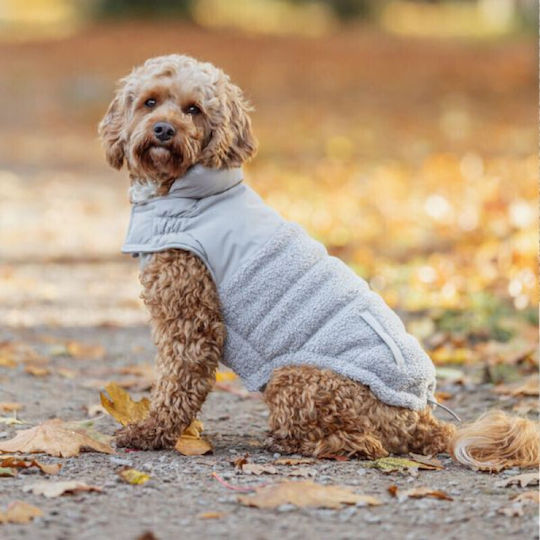 Trixie Hundemäntel für Hunde Grau mit Rückenlänge 36 cm