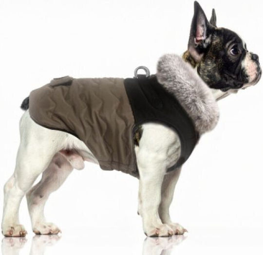 Milk & Pepper Waterproof Brown Dog Coat