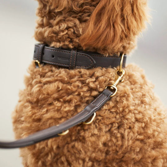 William Walker Foldable Dog Leash Lead Leather in Brown Color