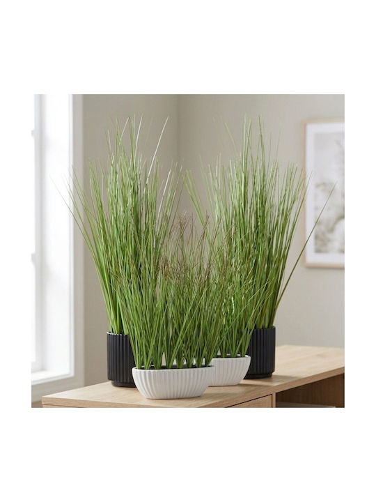 Grass 46cm Ceramic Black Pot Ø10x9.5cm